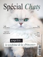 Spécial Chats